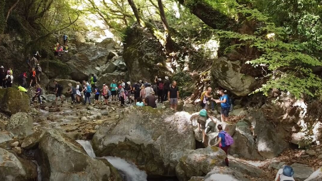 Irene's Healthy Life-Pallini必去景点