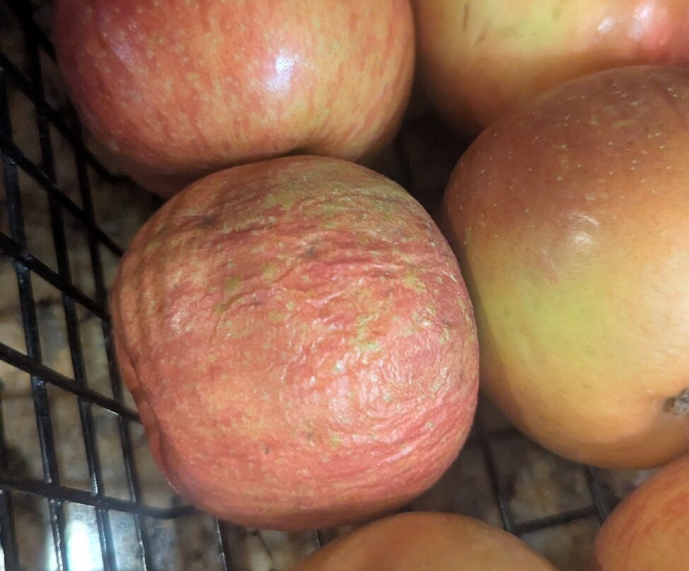 TownePlace Suites by Marriott Garden City主图