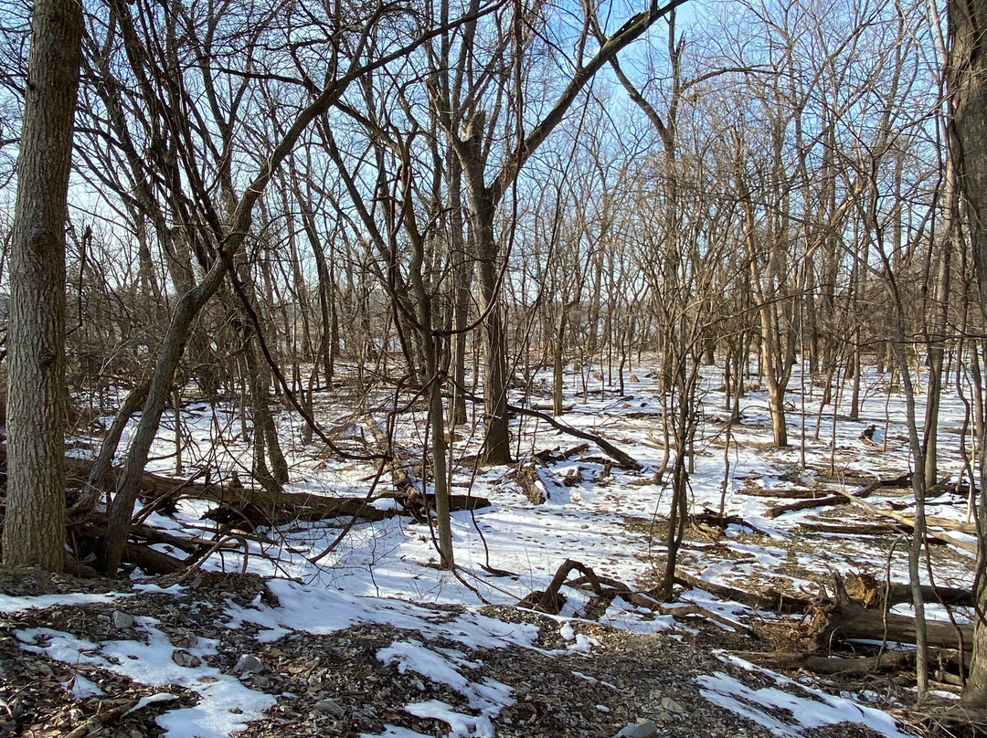 Falls of the Ohio State Park-Clarksville必去景点