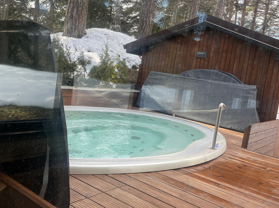 Lion Hotel Borovets