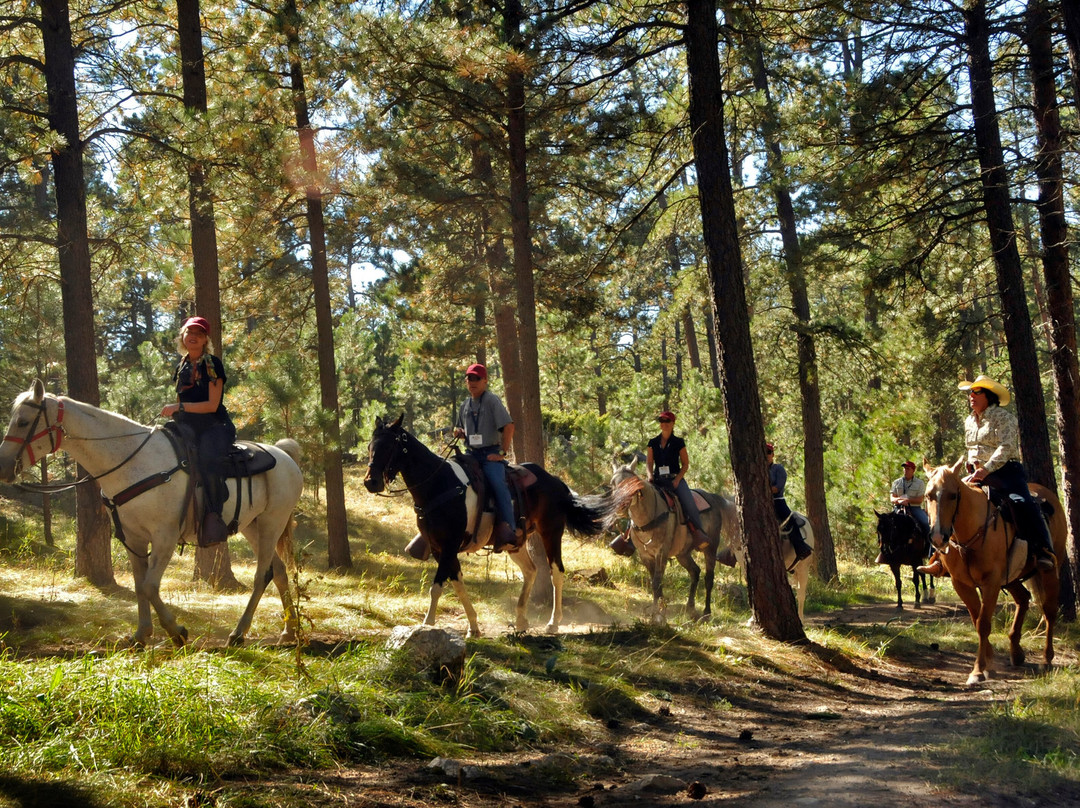 Blue Bell Stables-卡斯特必去景点