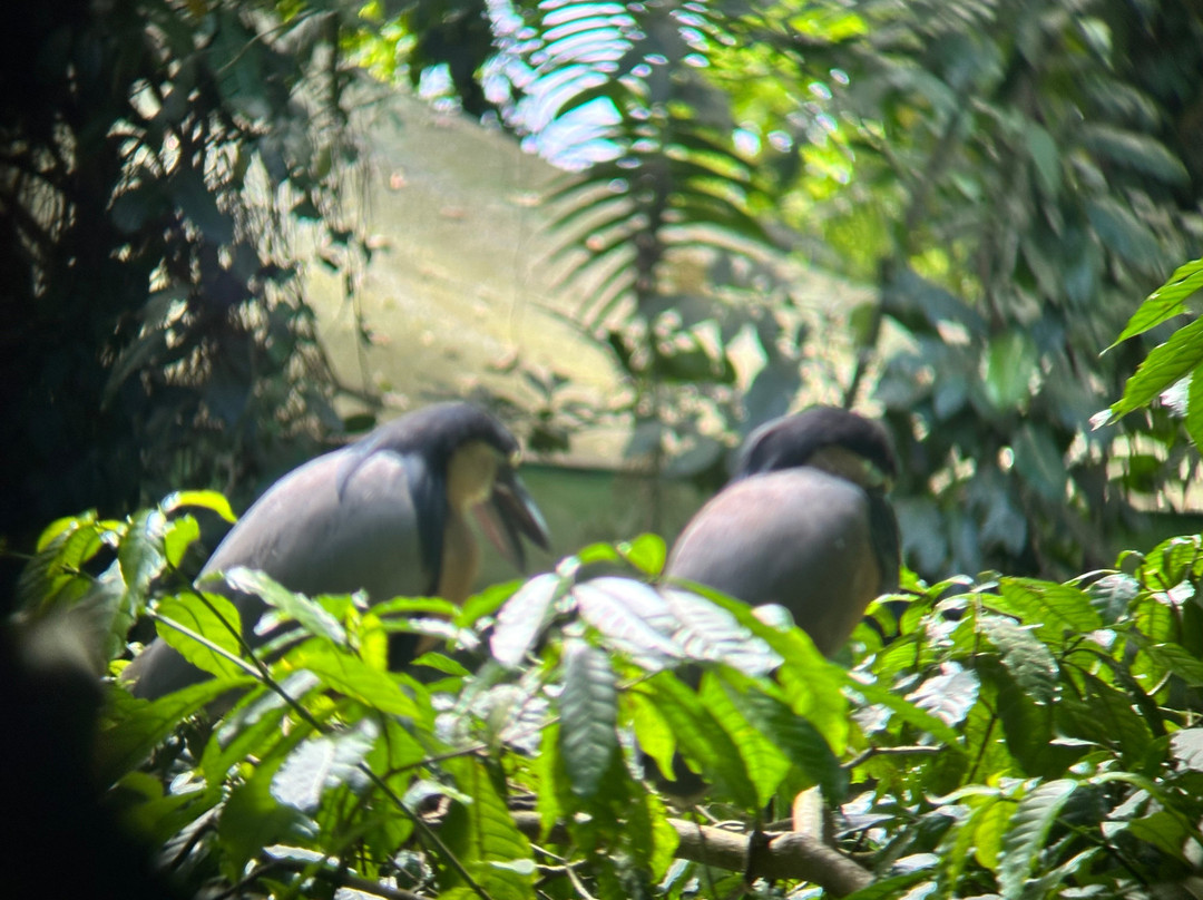 Costa Rica One On One Tours景点图片