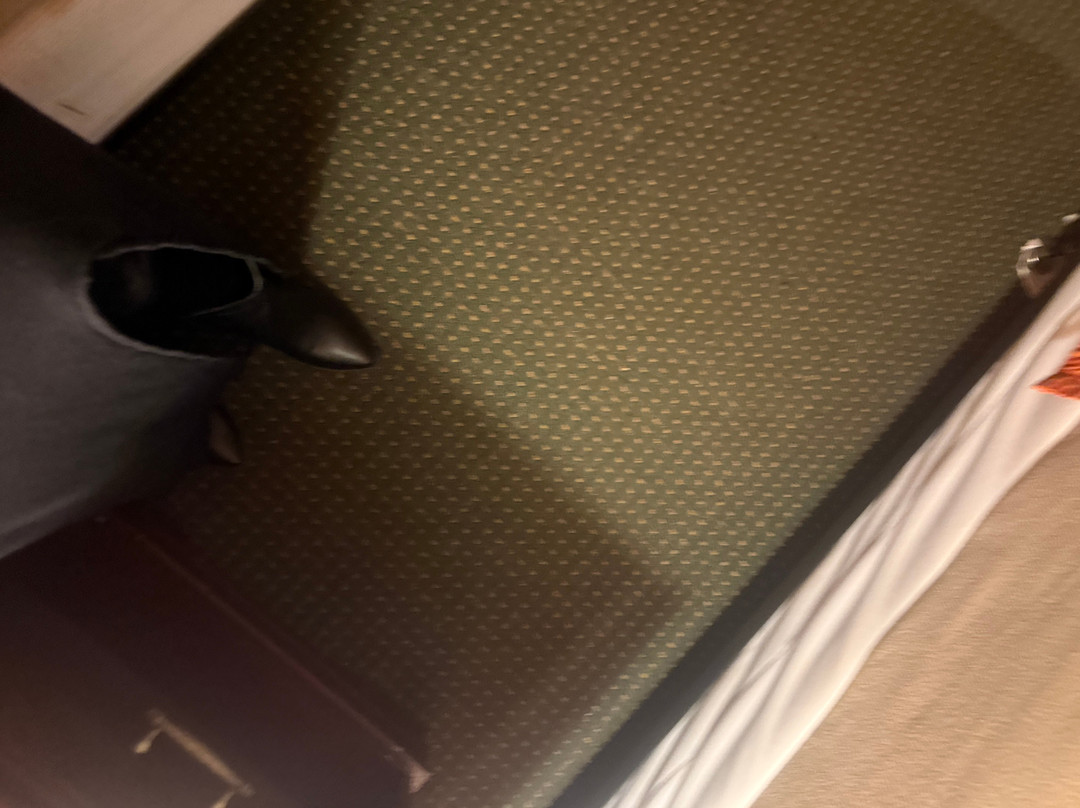 Howard Johnson by Wyndham Houma主图