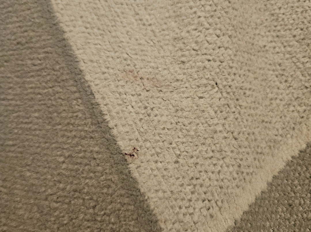 The Eagles Hotel主图