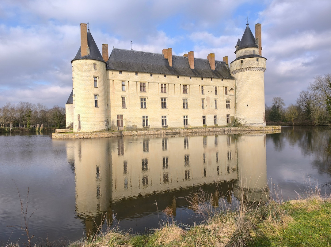 Chateau du Plessis-Bourré景点图片