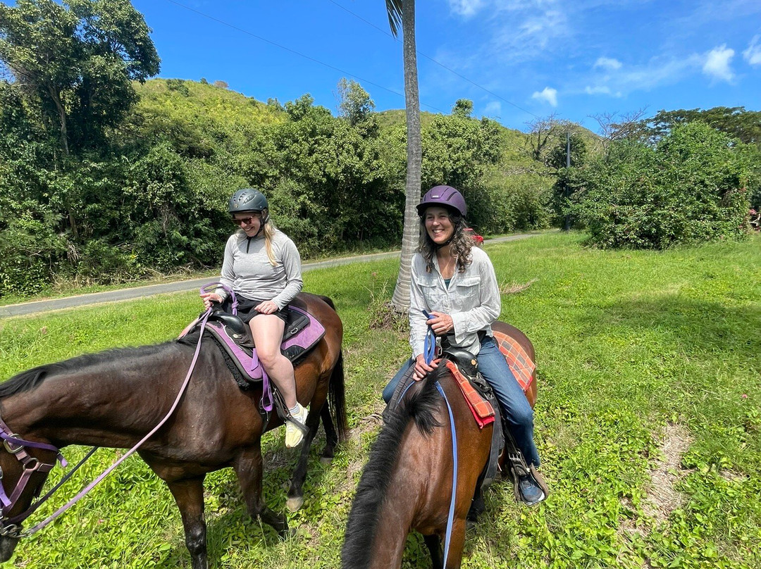 Paul and Jill's Equestrian Stables-圣克鲁斯必去景点