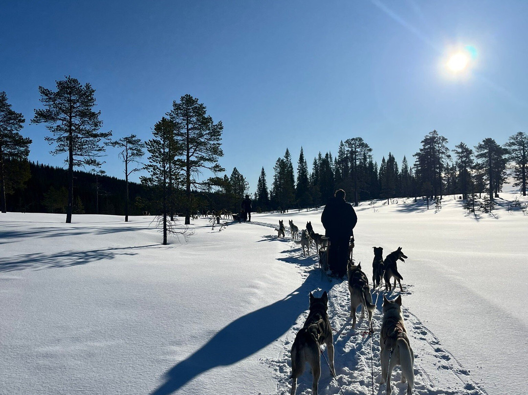 Norway Husky Adventure景点图片