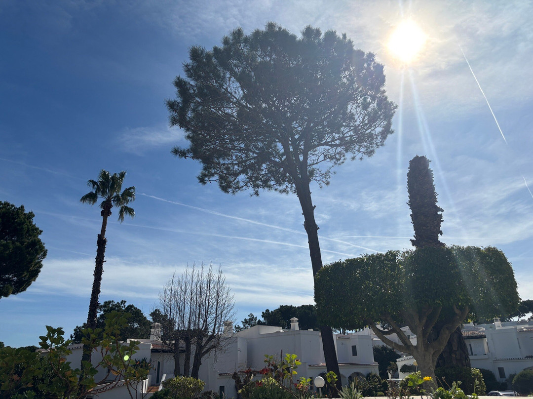 Four Seasons Country Club主图