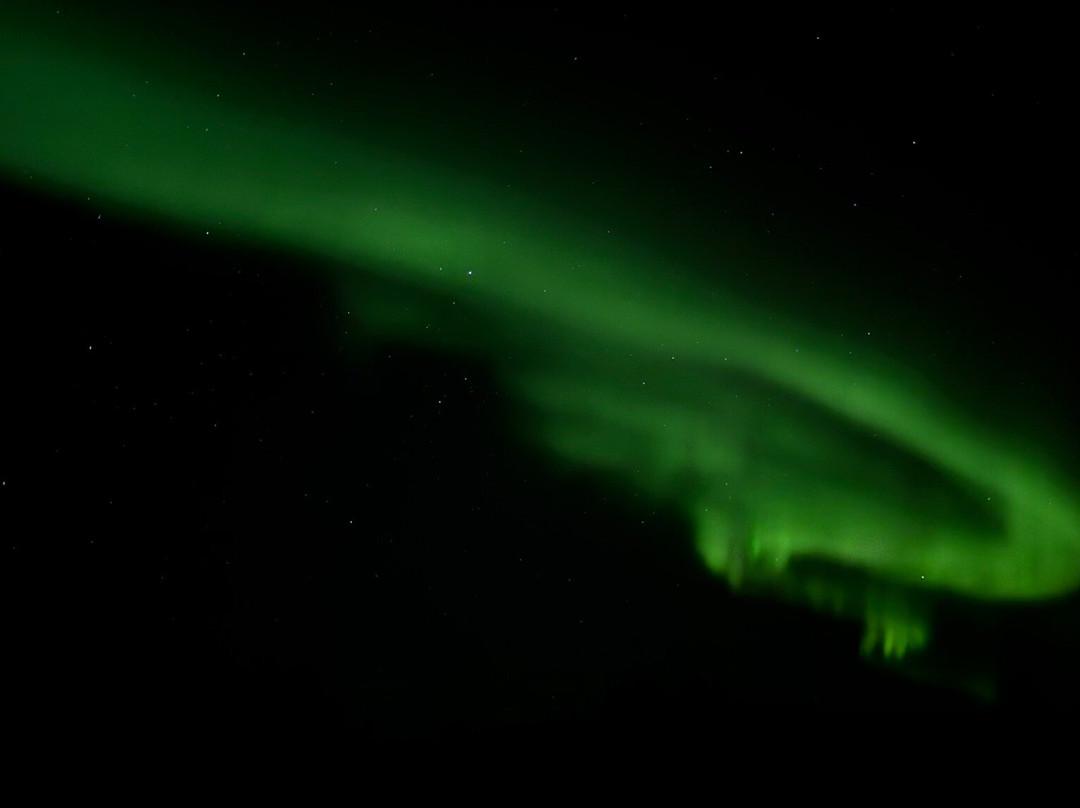 Arctic Night Tours-费尔班克斯必去景点