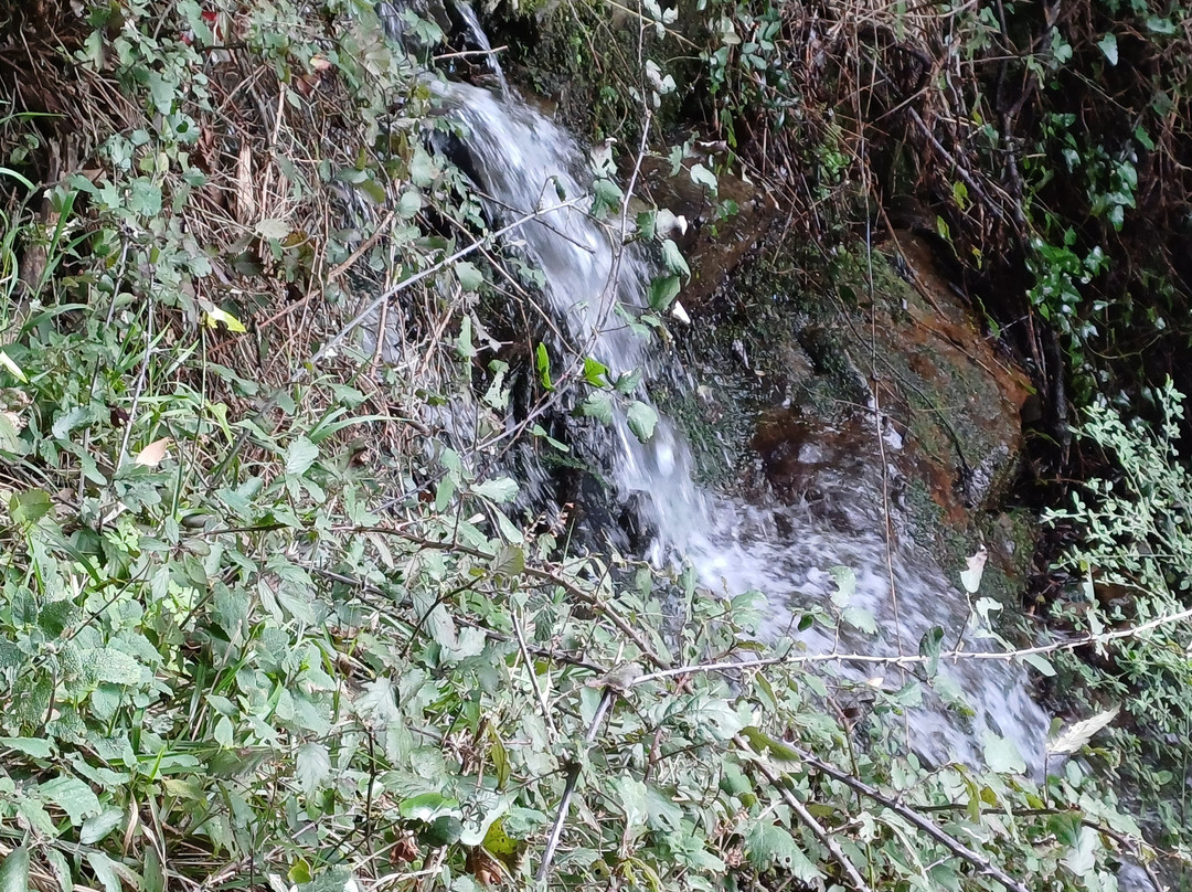 Il sentiero da Riva Trigoso a Moneglia景点图片