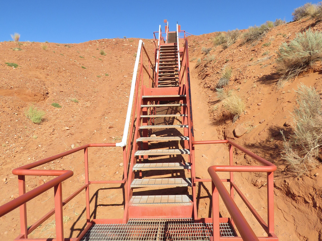 Carolene Ekis-佩吉必去景点