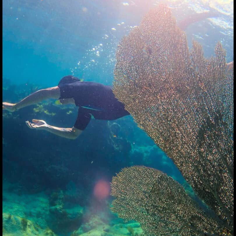 Playa Coral Diving Cuba景点图片