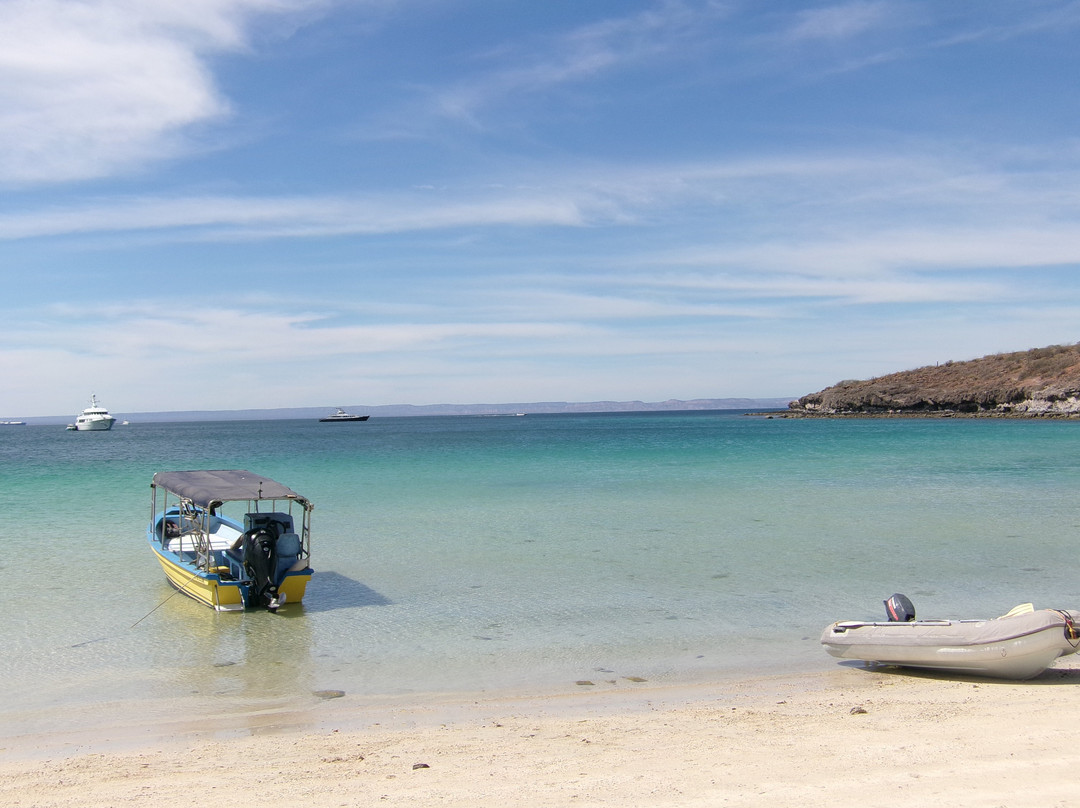 Baja Toto Tours-拉巴斯必去景点