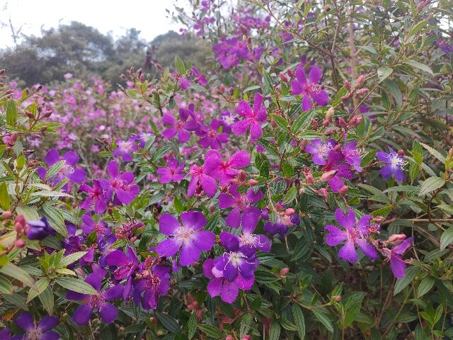 石门国家森林公园-从化市必去景点