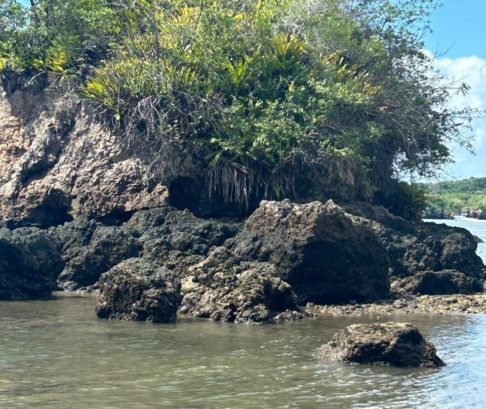 Itacare Adventure-Itacare必去景点