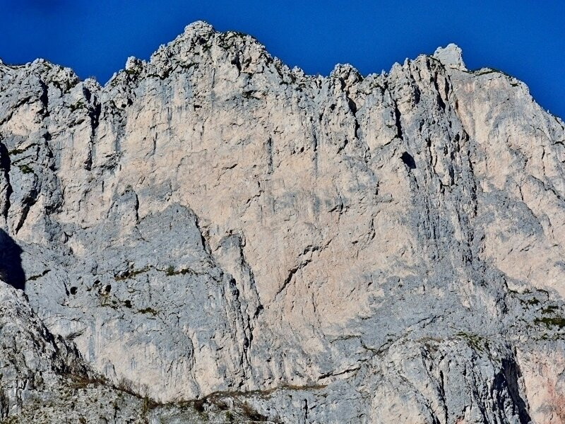 Pale Di San Lucano景点图片