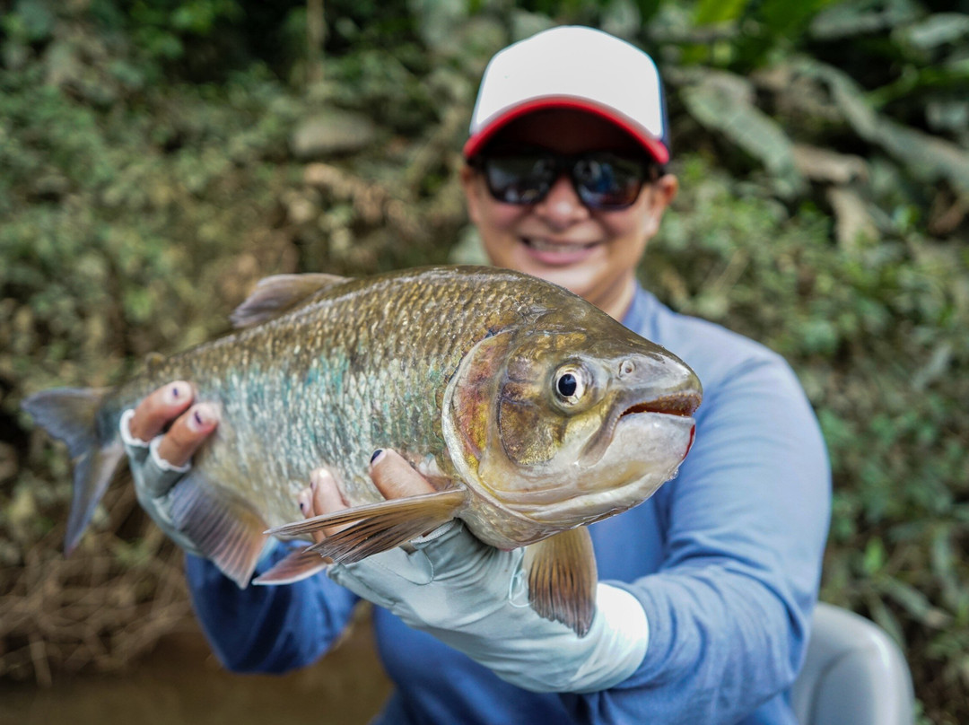 Fly Fish in Costa Rica-圣何塞必去景点