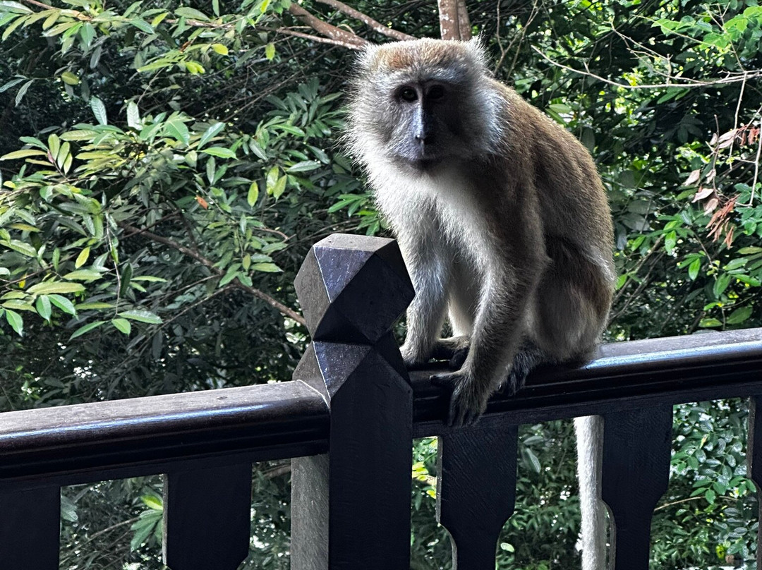 绿中海度假村主图