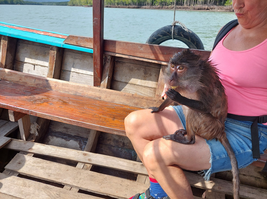 Thung Yee Pheng Mangrove Forest-兰塔岛必去景点