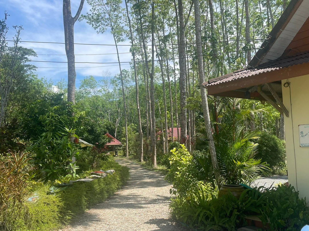 Manora Garden B &B主图