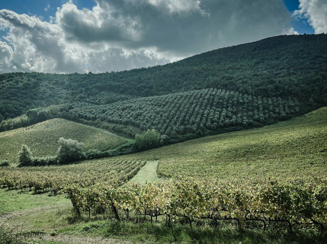 Fattoria di Fugnano景点图片