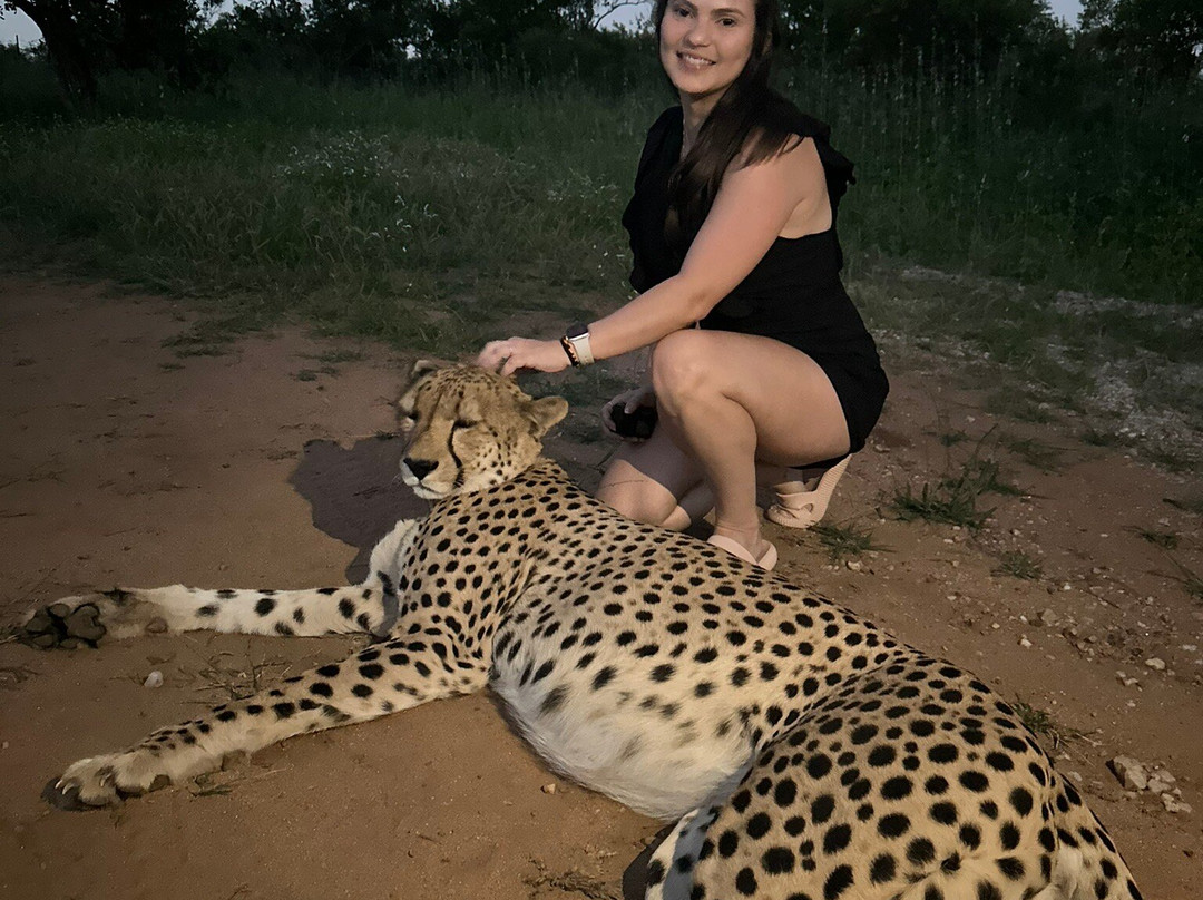 Tshukudu Game Lodge-霍德斯普鲁特必去景点