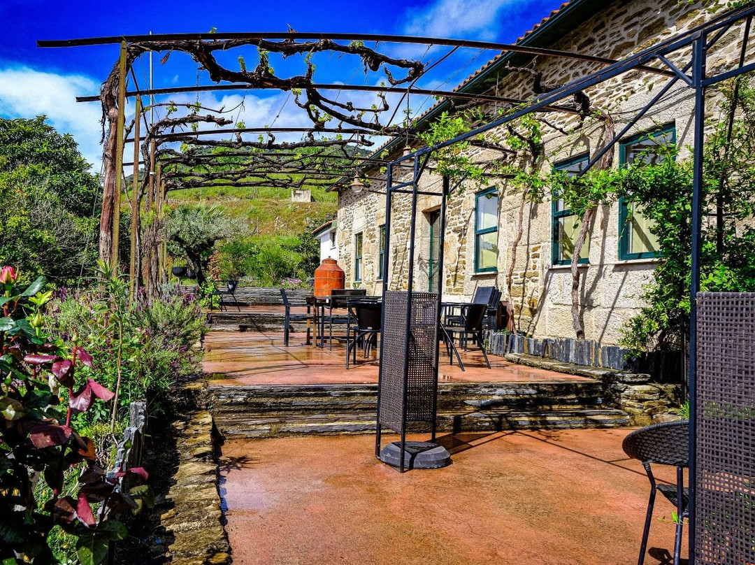 Negreiros Family, Hosting & Wine - Douro
