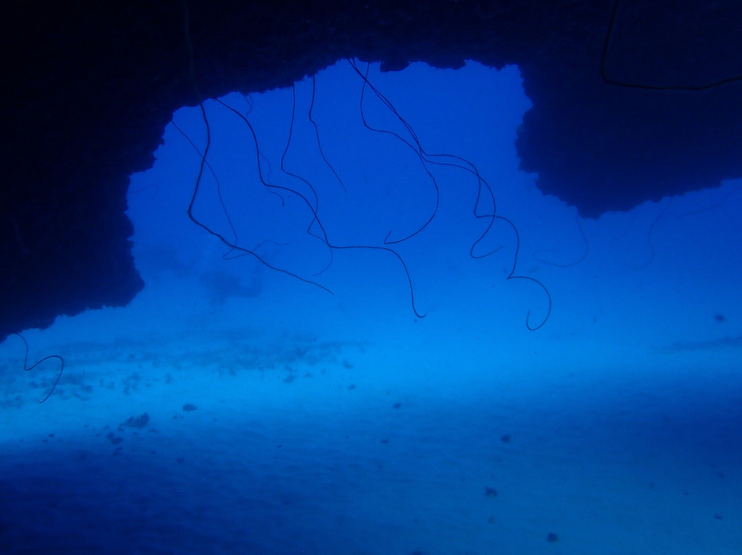 SeacretDive-Port-Louis必去景点