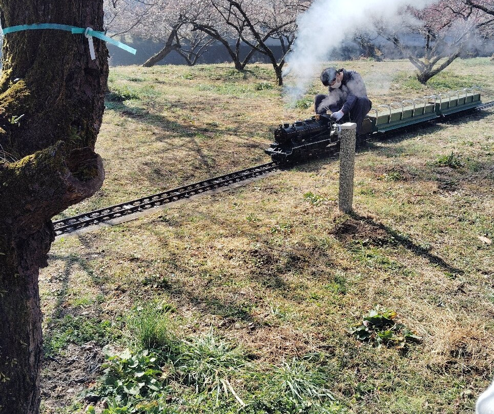 Ogose Bairin-越生町必去景点