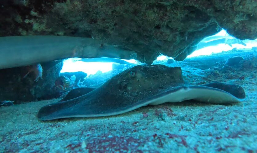 Cidade Velha Diving-大贝里拉历史中心旧城必去景点