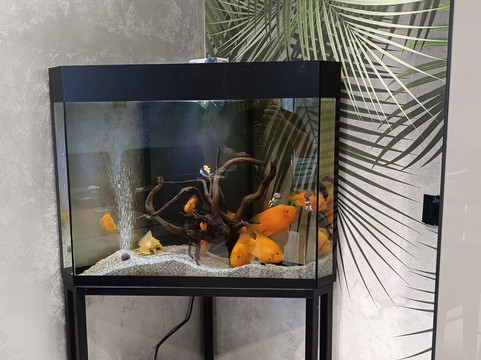 阿尔塔加尔尼精品酒店主图