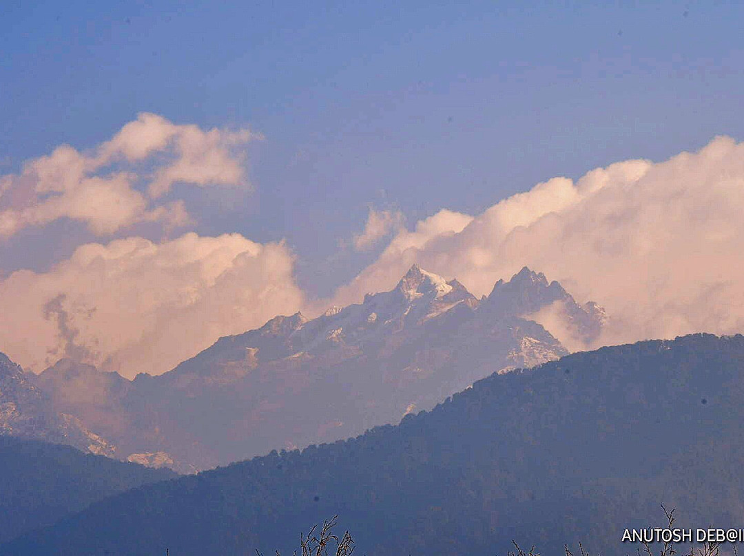 Udaan Olive Hotel & Spa主图