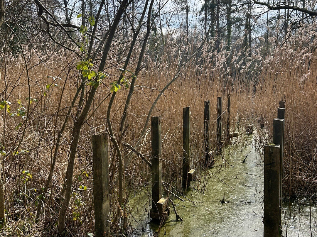 Swanwick Lakes景点图片
