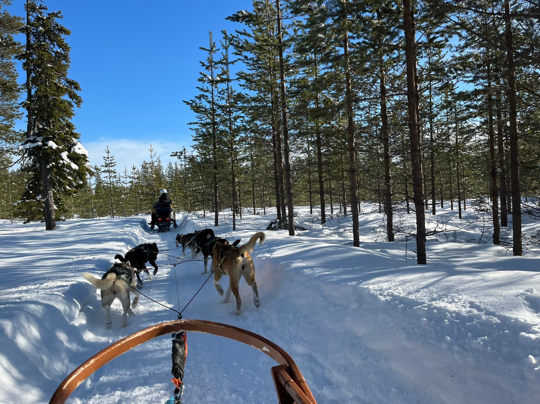 Lapland Safaris Luosto-Luosto必去景点
