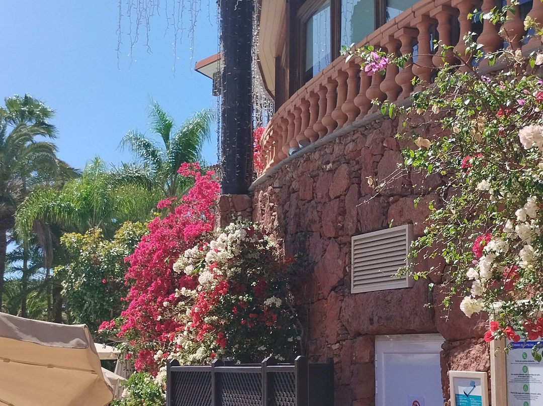 Hotel Parque Tropical主图
