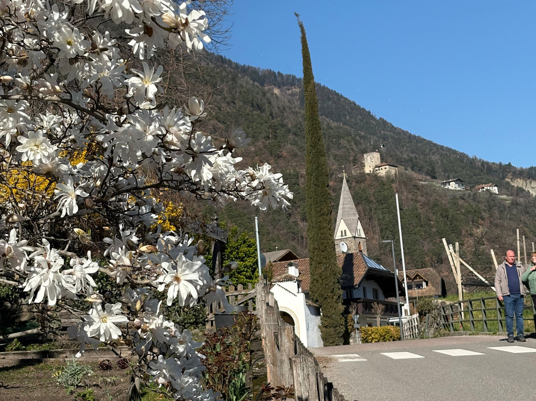 Hotel Mitterplarserhof主图