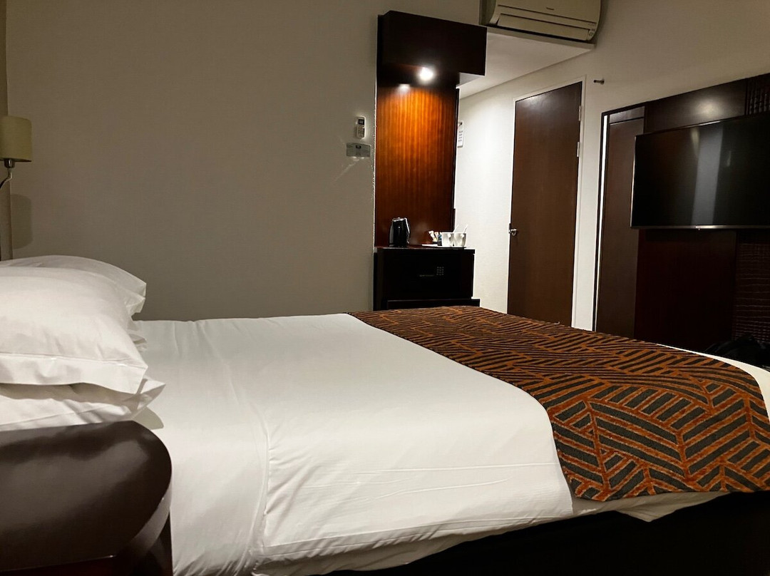 City Lodge - 奥利弗坦博国际机场主图