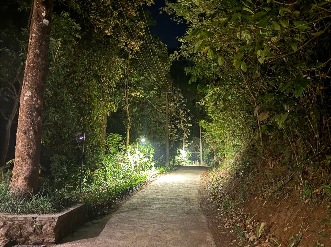 Flora Vythiri Resort主图