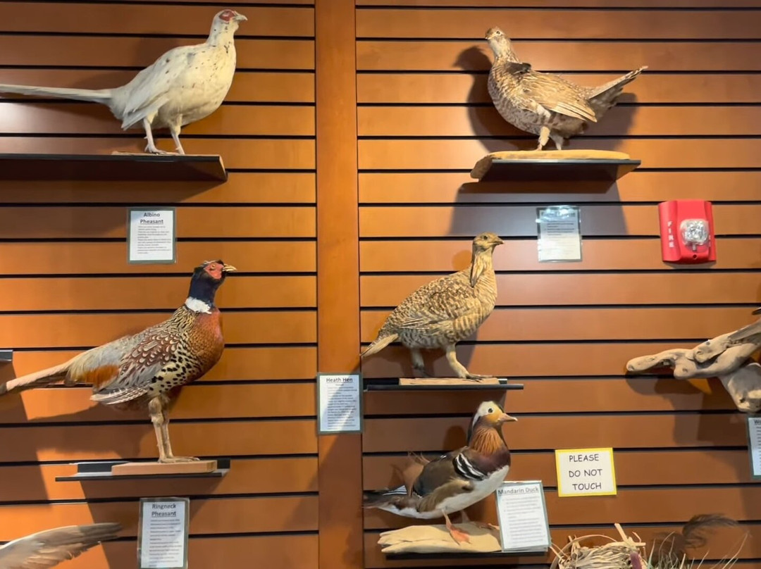 James "Pate" Philip State Park-Bartlett必去景点