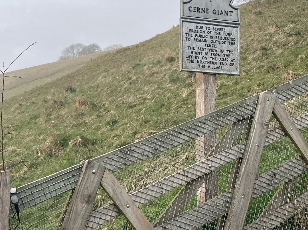 New Inn Cerne Abbas主图