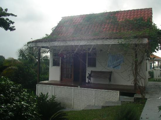 Caribbean Breeze主图