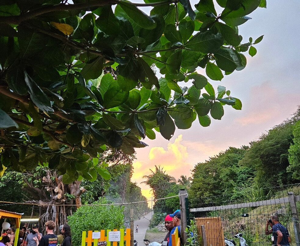 La Billetterie Saintoise-Terre-de-Haut必去景点