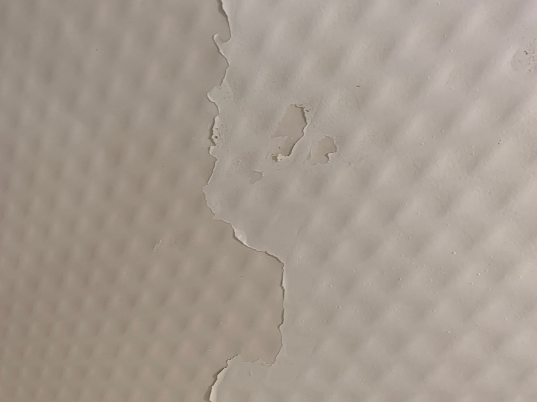 Sleep Inn & Suites Buffalo Airport主图