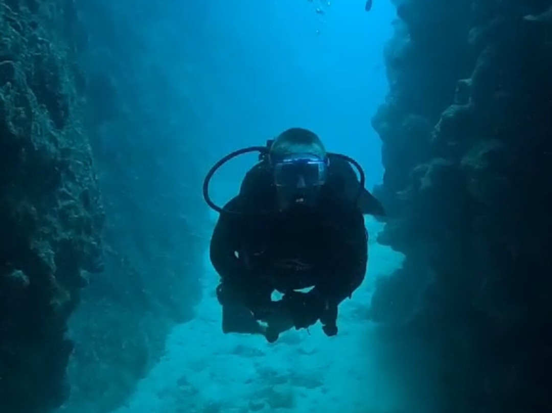 Octopus World Dahab-达哈卜必去景点