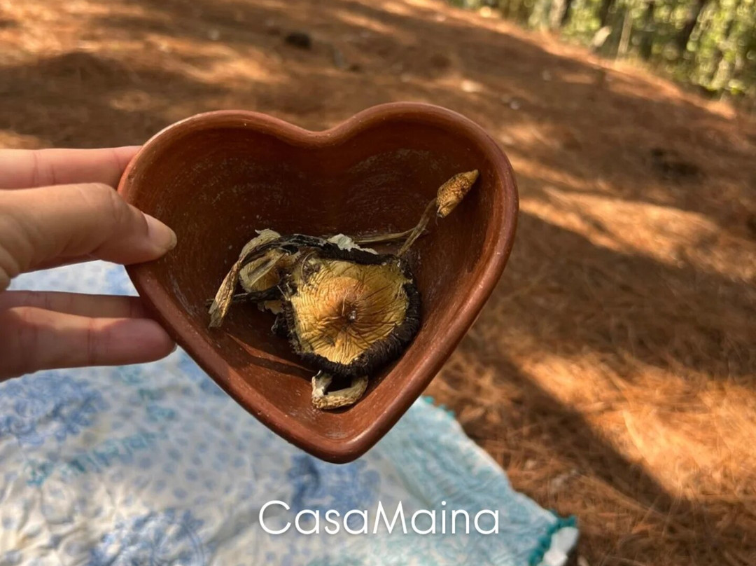 Casa maina-San Jose del Pacifico必去景点