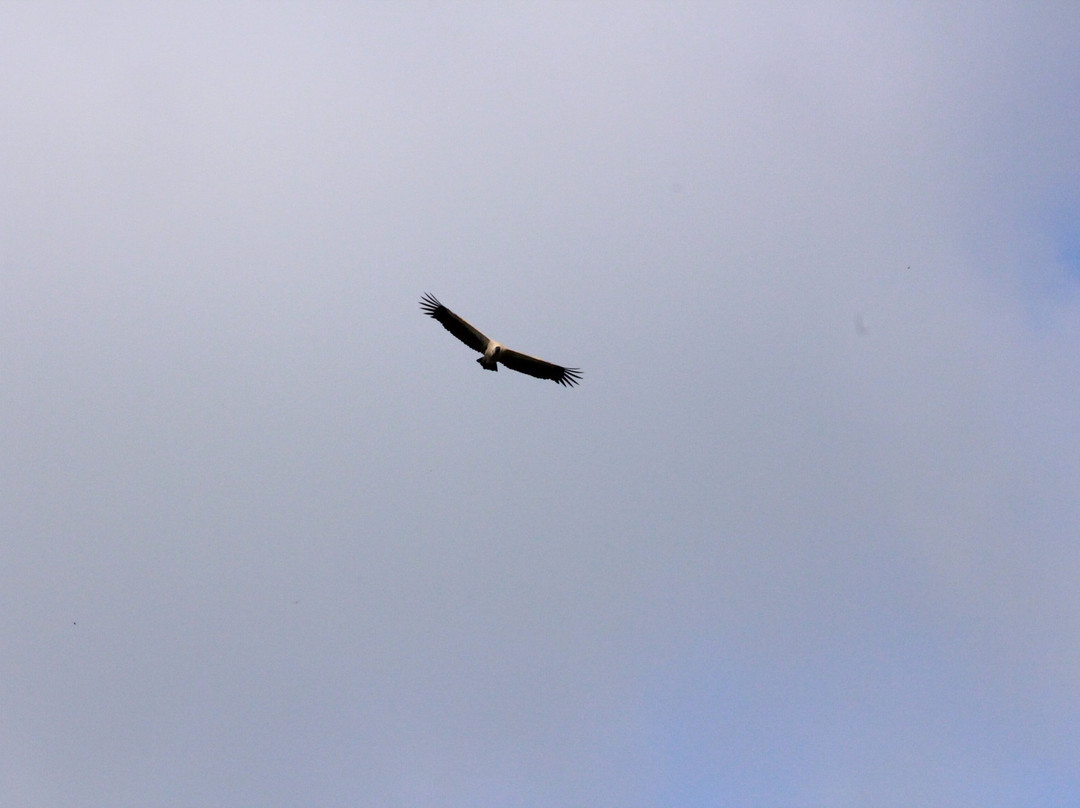 Heritawi safaris-Karen必去景点