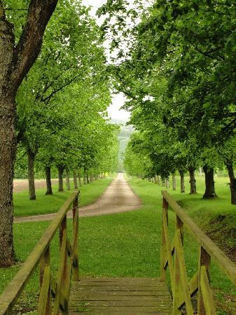 Domaine de Sainte Anne主图