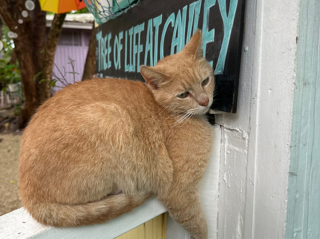 Cauley Square Historic Village-Goulds必去景点