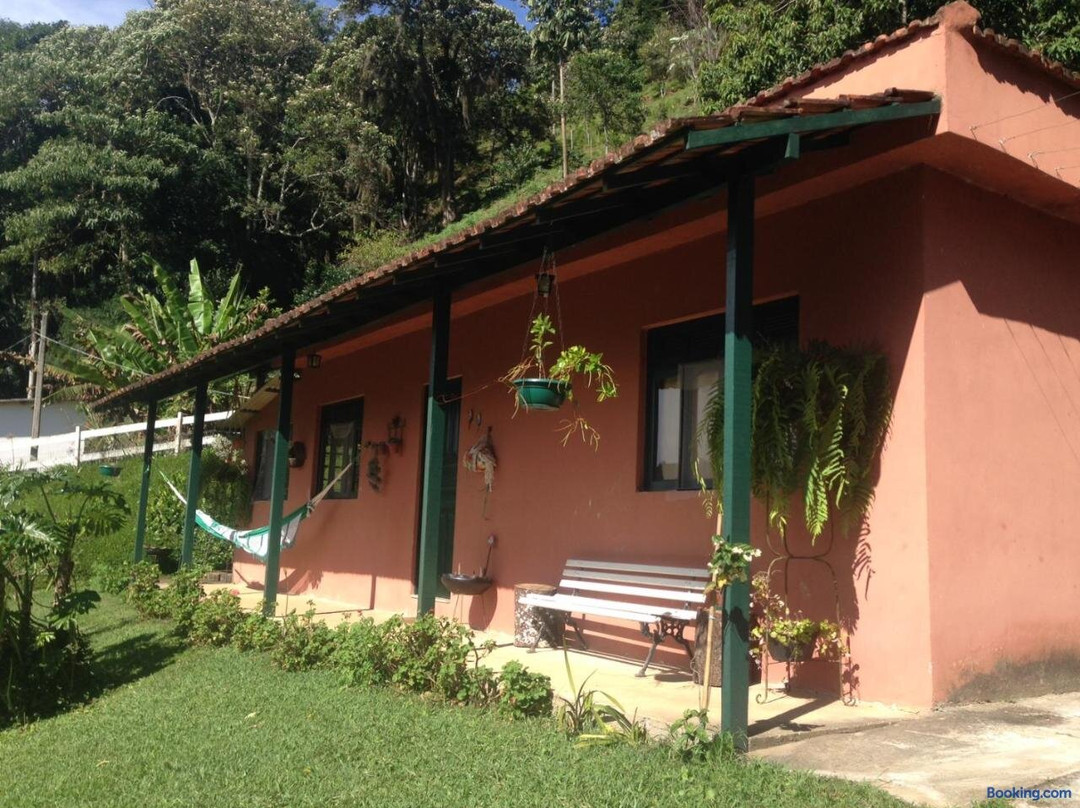 Canto Dos Pássaros