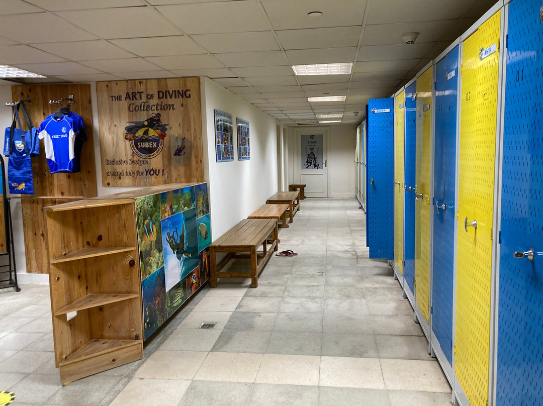 SUBEX Diving Center - Baron Palace-赫尔格达必去景点